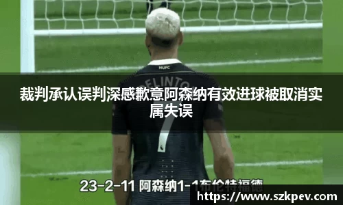 裁判承认误判深感歉意阿森纳有效进球被取消实属失误